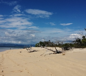 Journée sur l’îlot Deverd