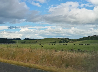 Mount Bruce et Palmerston North