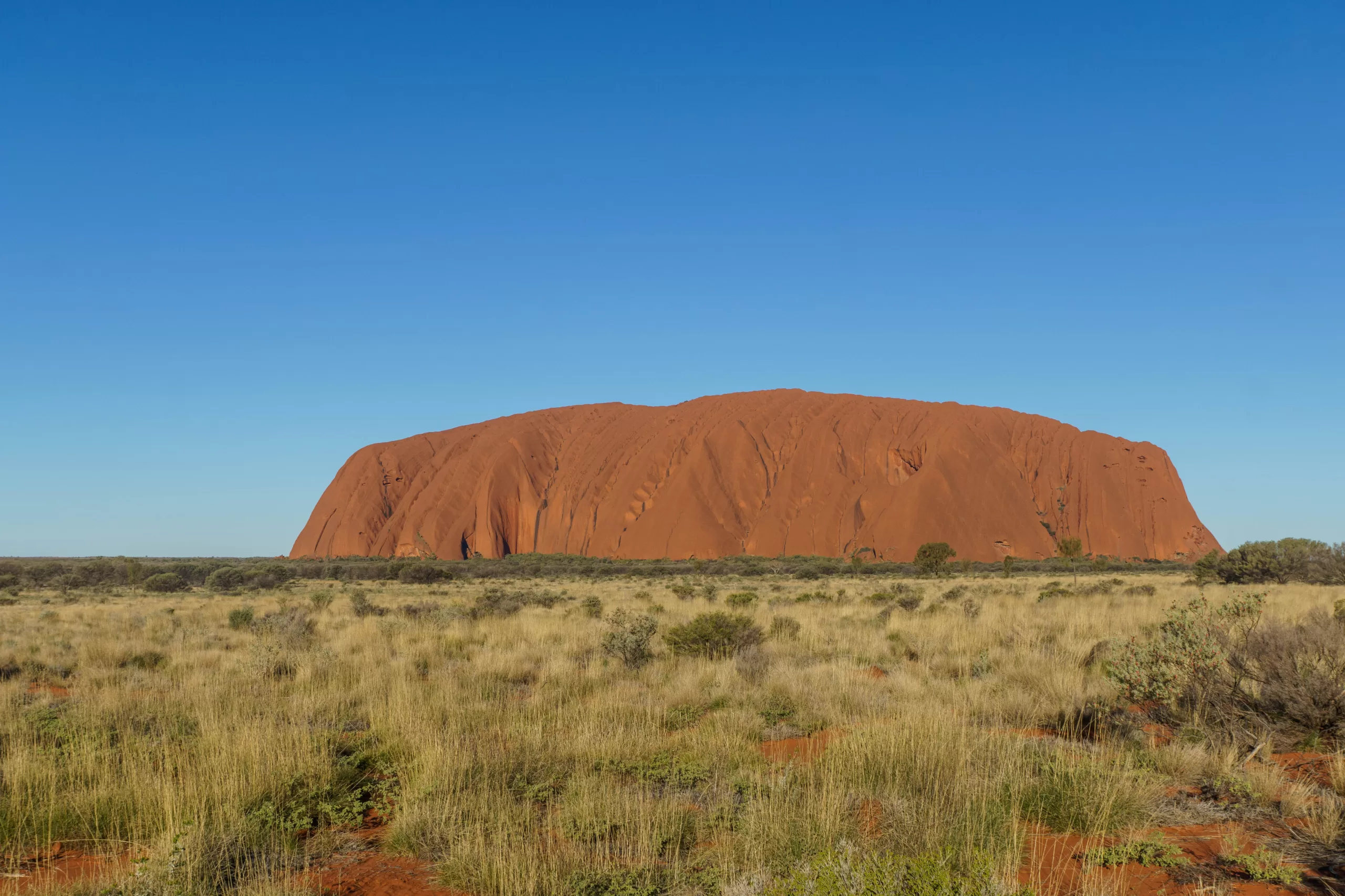 Uluṟu