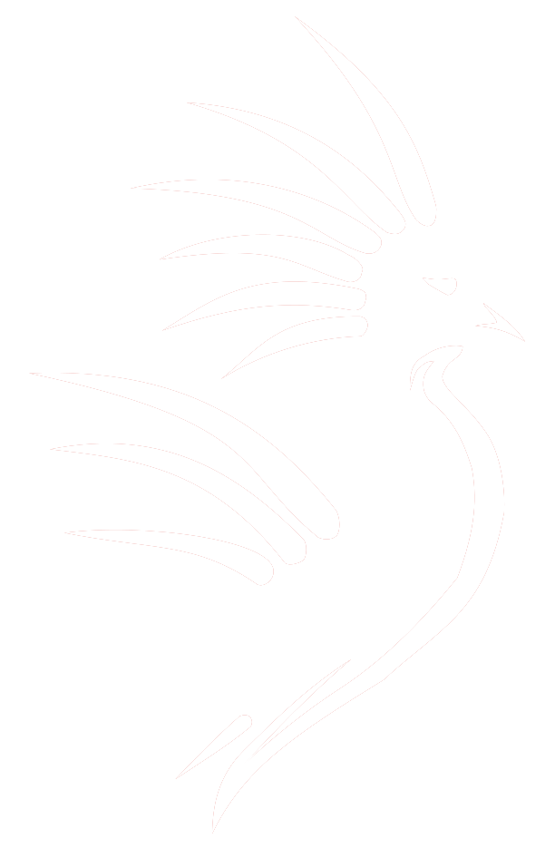 Le cagou blanc
