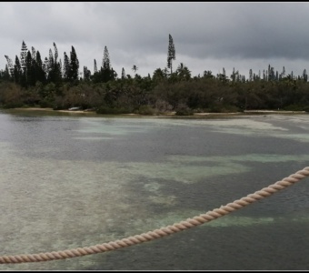 Découverte de l’île des Pins – 2ème partie